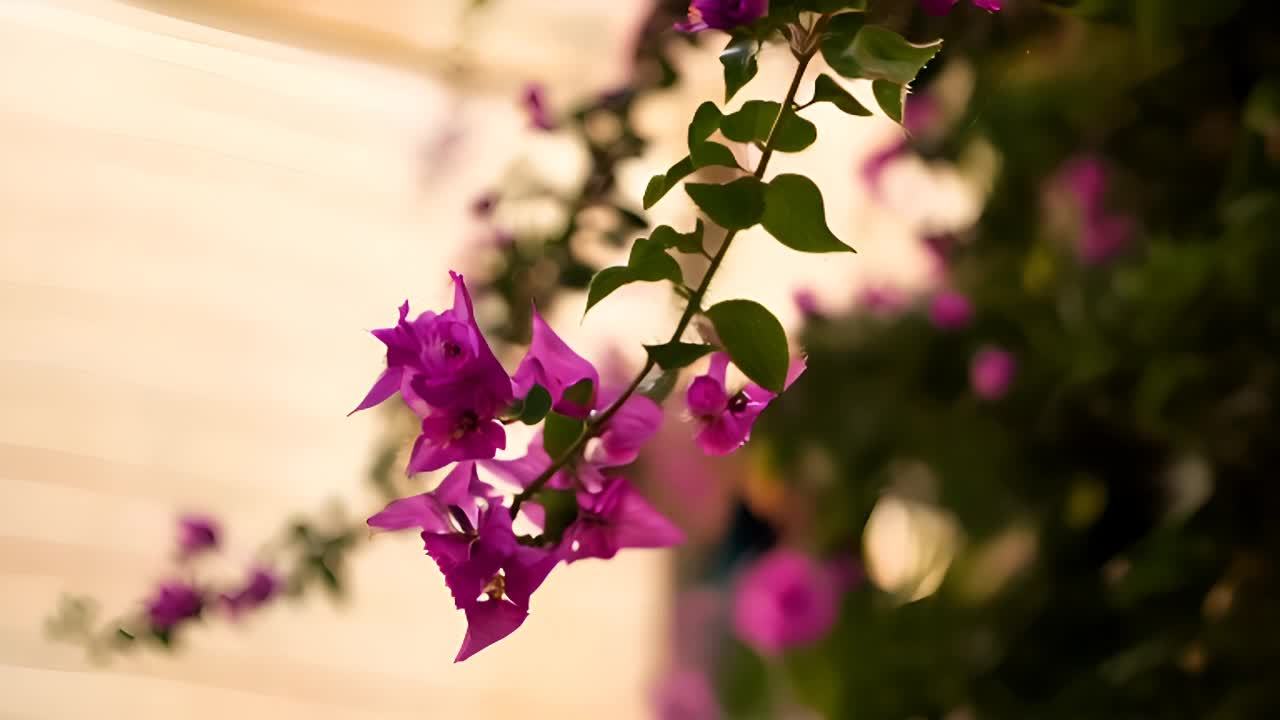 紫色的花朵和绿色的叶子生长在枝条上，背景是浅黄色的