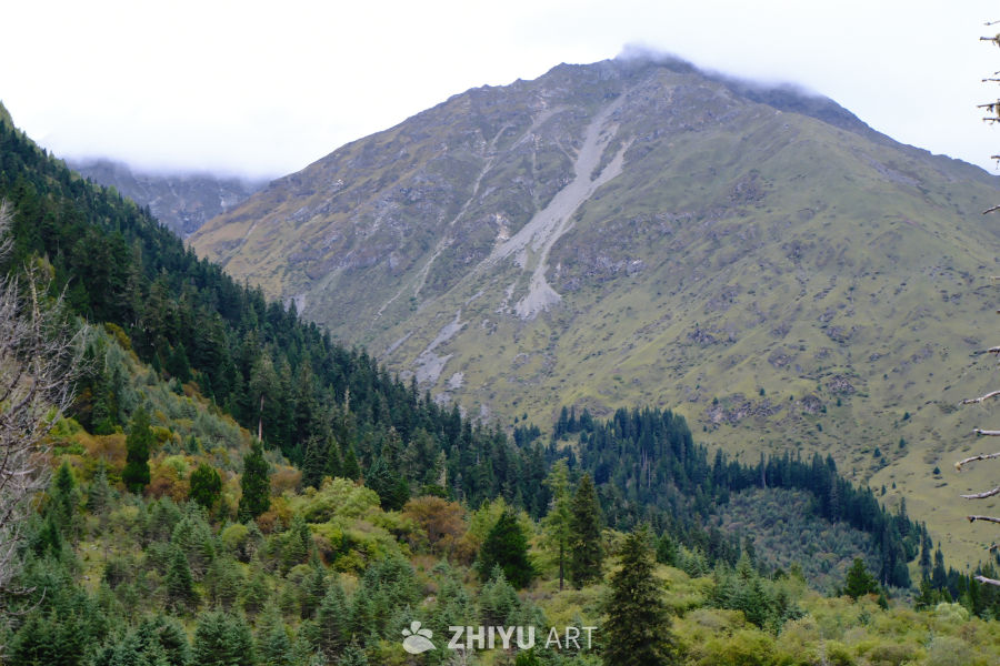 四姑娘山风景