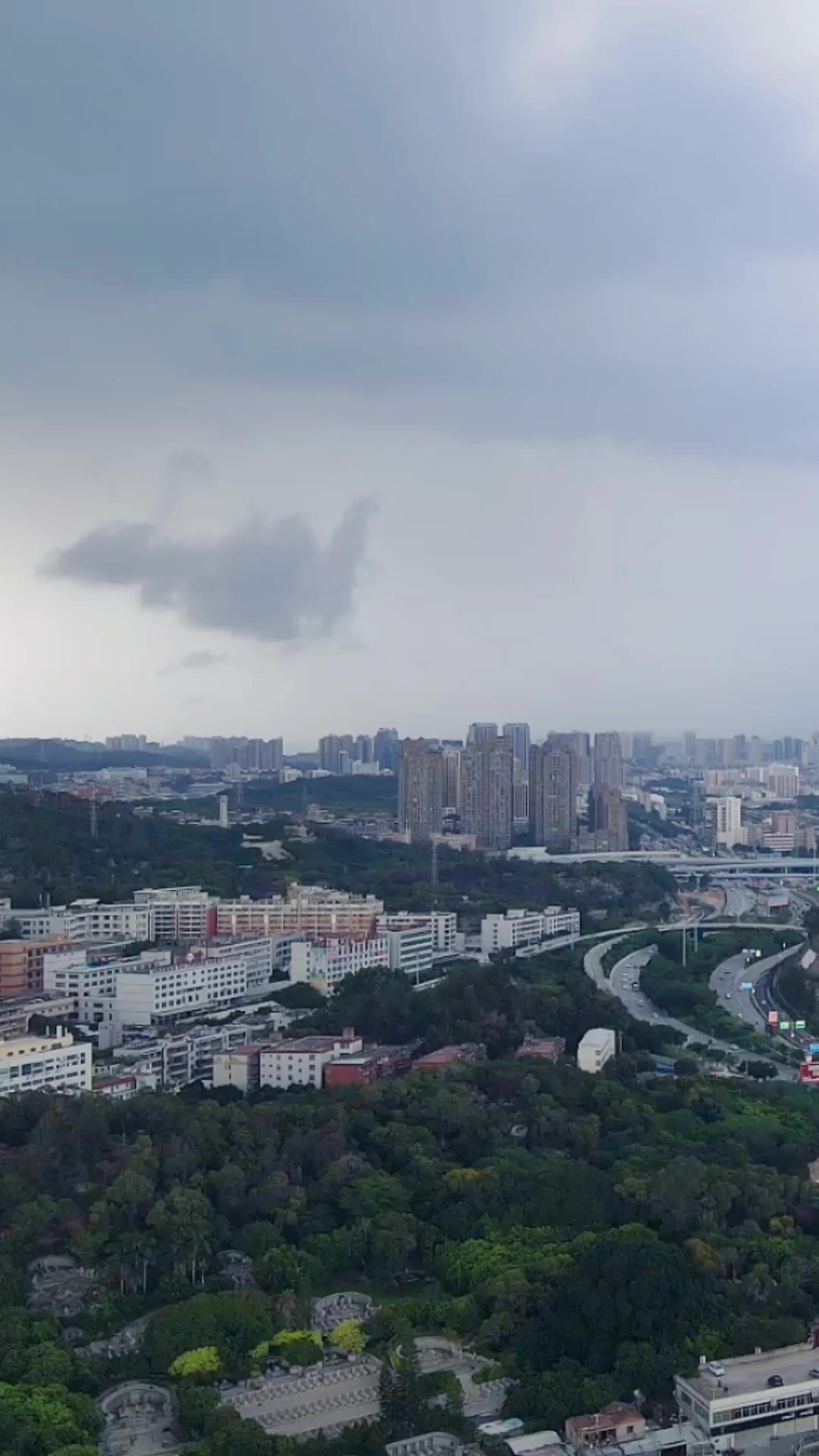 城市航拍福建泉州城市风光竖屏