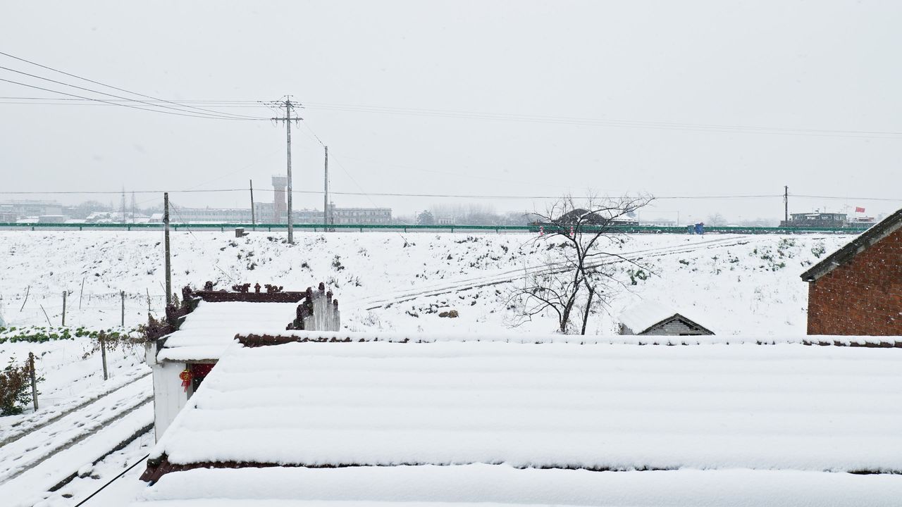 冬天冬季下雪花飘雪白雪皑皑4K