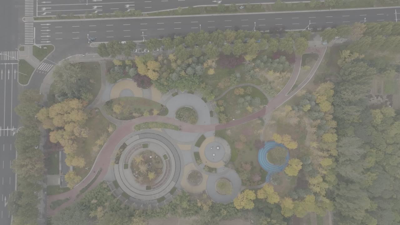 城市绿肺：公园全景