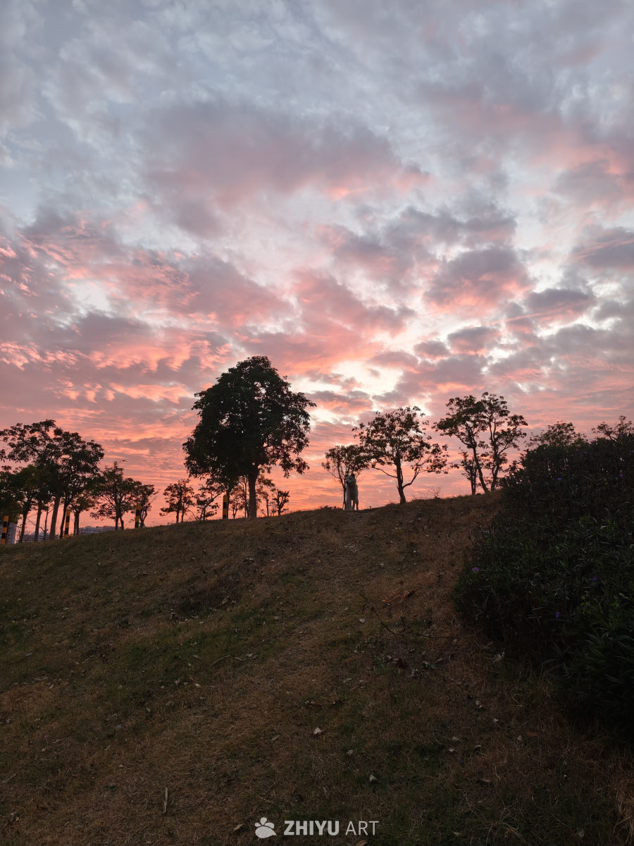 日落时分的静谧山坡