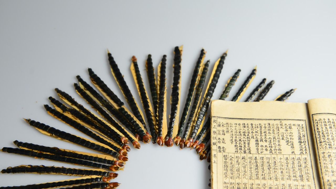 蜈蚣中药材 20