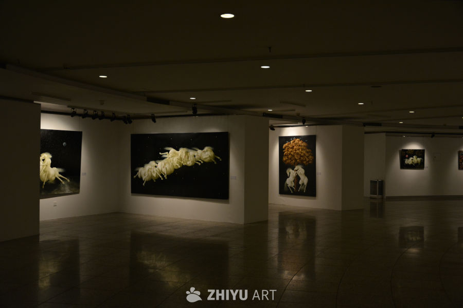 艺术馆的摄影展