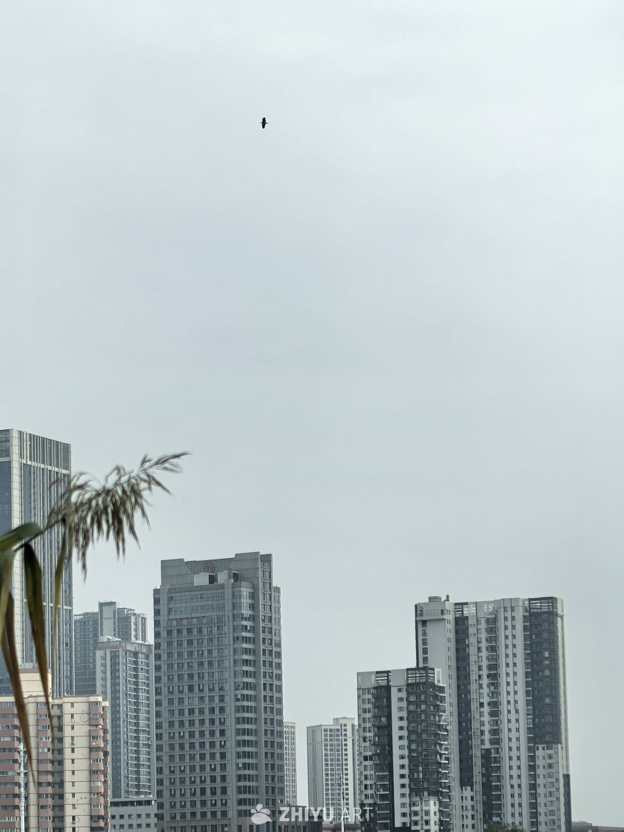 相逢意气为君饮，系马高楼垂柳边