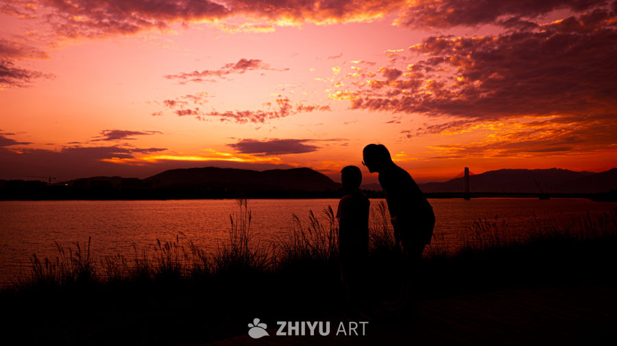 夕阳下的大桥 2