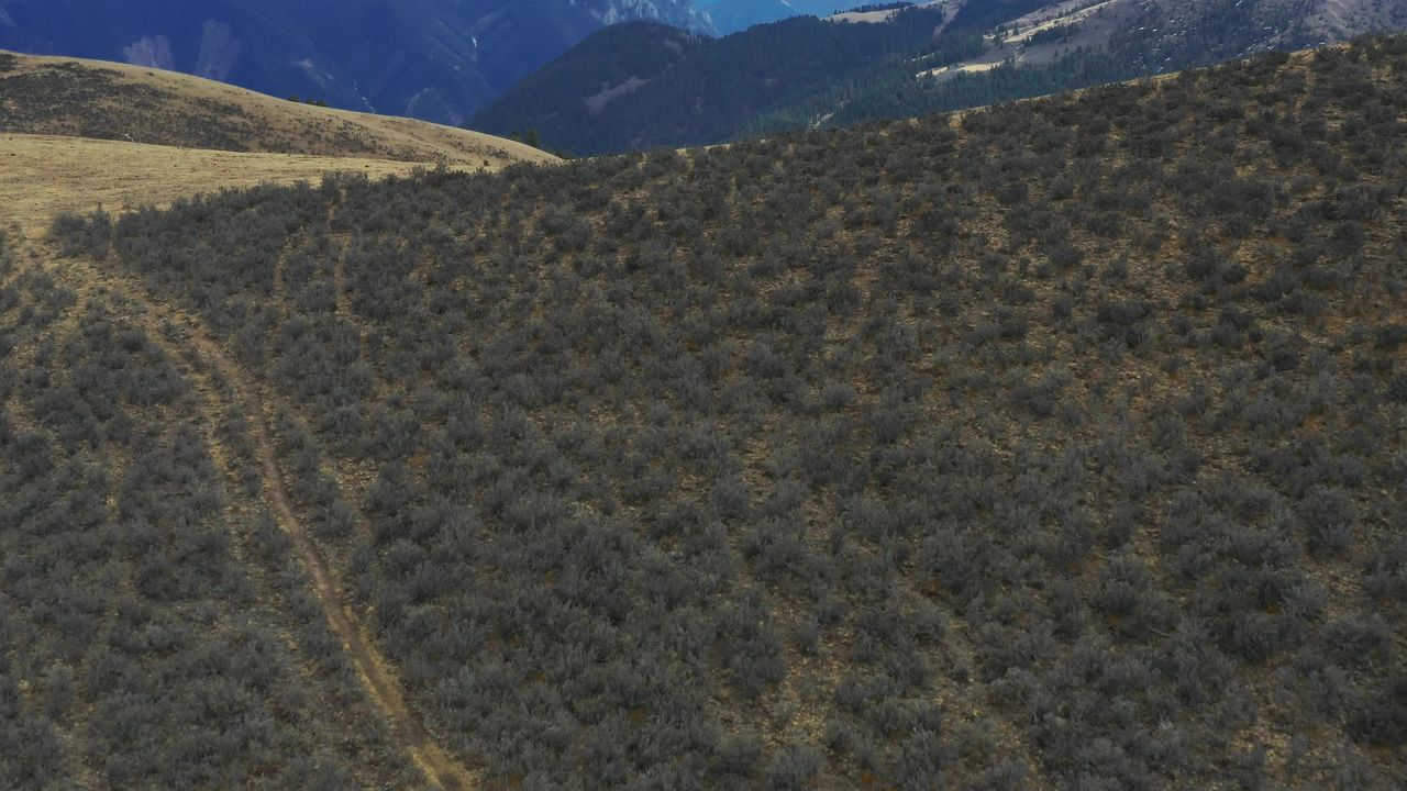 航拍秋天黄色的高山牧场