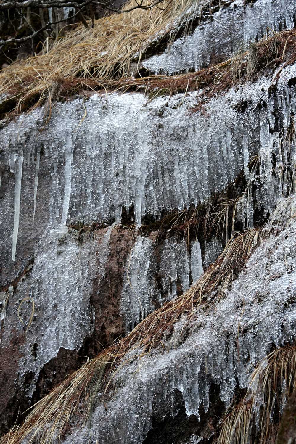 雪落黄山，雾凇云海——雪篇