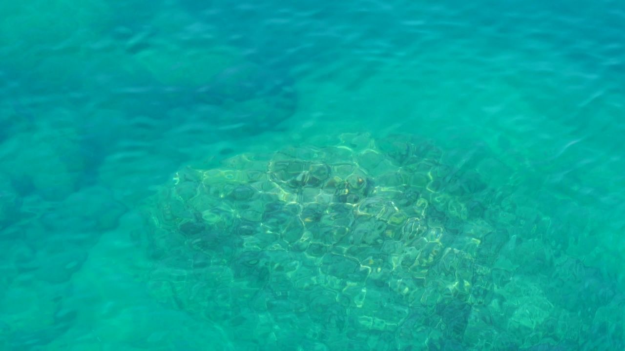 清澈的海底世界
