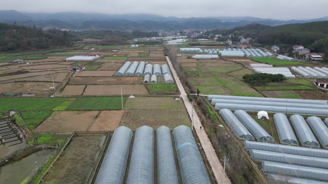 春耕农田农业大棚种植航拍