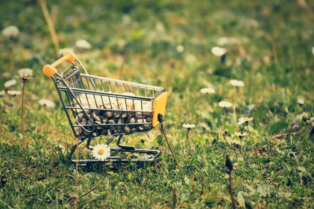 购物车花生米食品动物