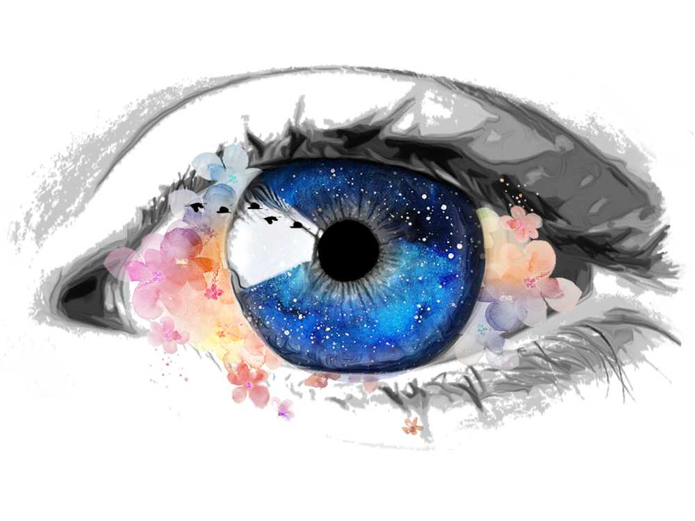 眼创意银河拼贴画鲜花漆艺术鸟冲击设计多彩颜色超现实主义灵魂