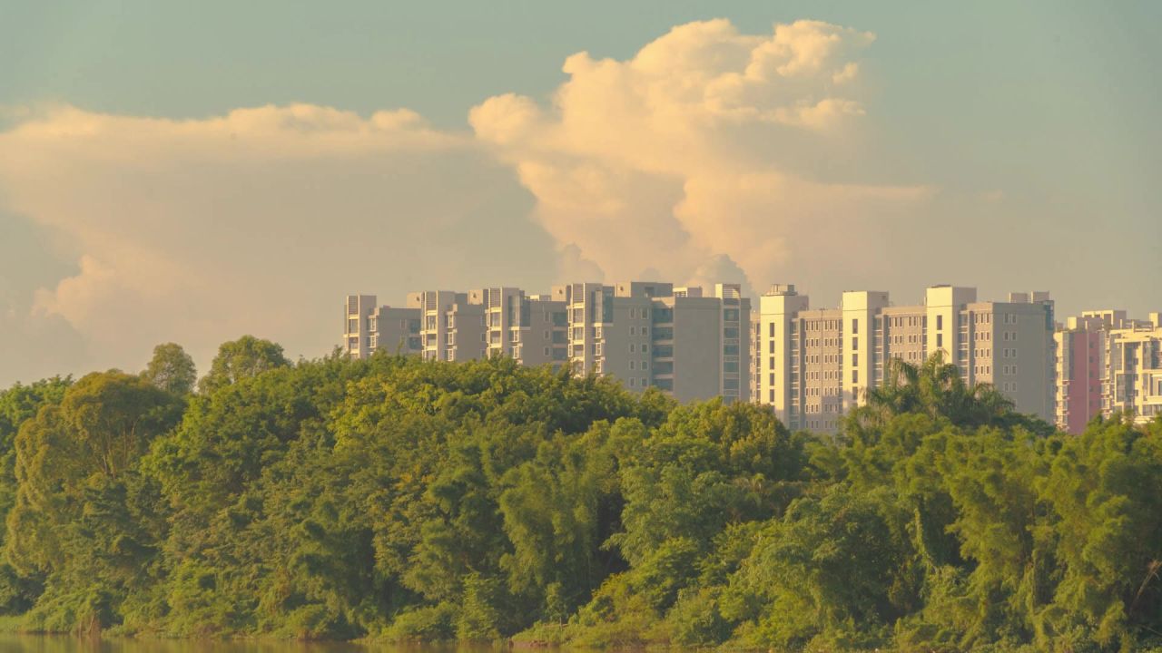 湖畔旁的城市风景