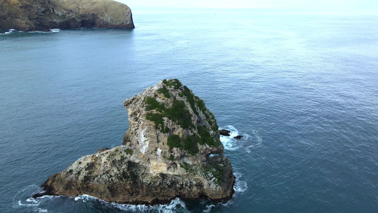 航拍新西兰南岛达尼丁sandfly bay南太平洋大海中的岛屿 5