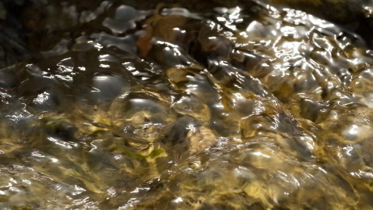 山泉水矿泉水潺潺小溪流水瀑布 2