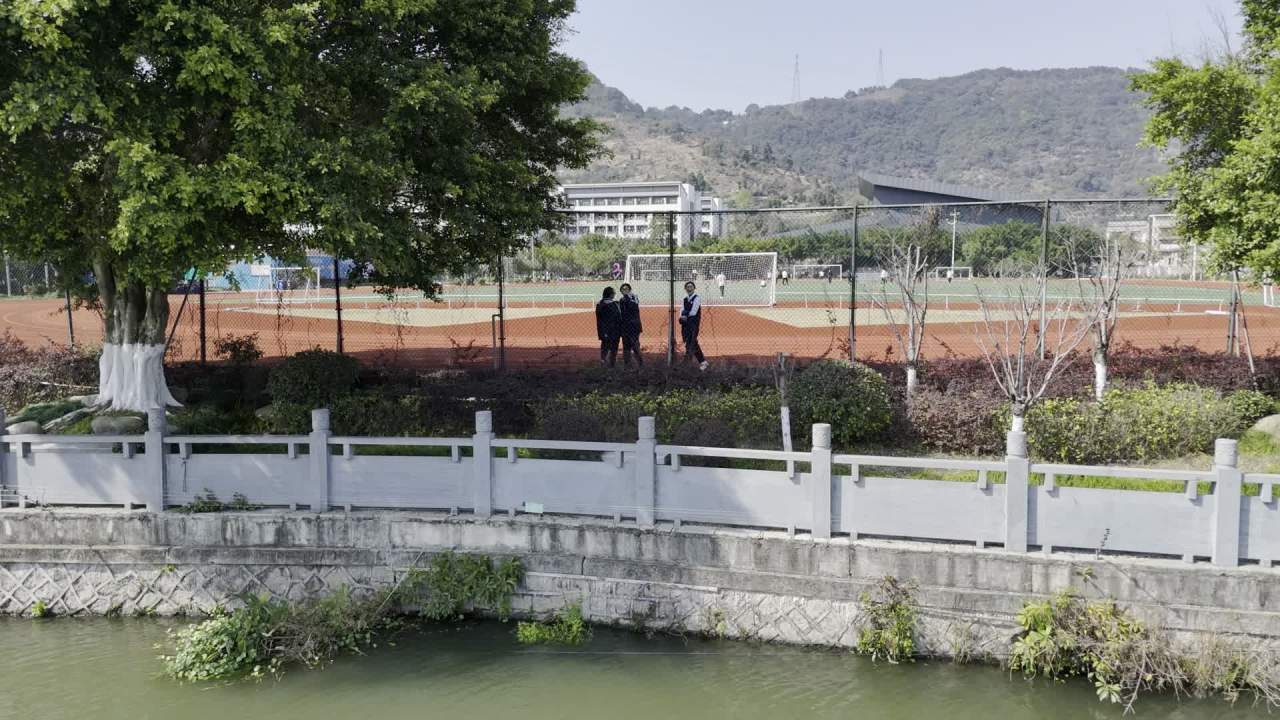 校园生活日常
