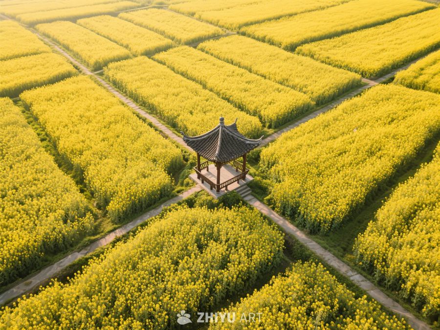 风景照片 3