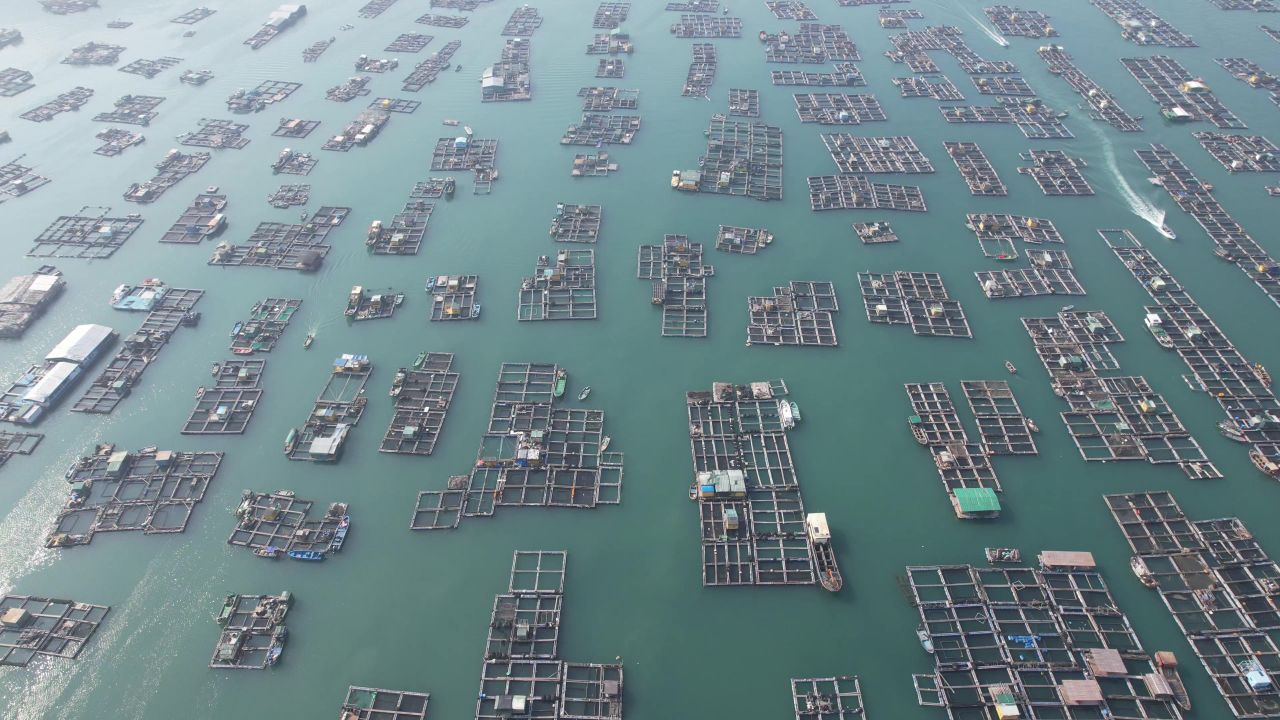 蓝色海洋大海海鲜养殖基地航拍 