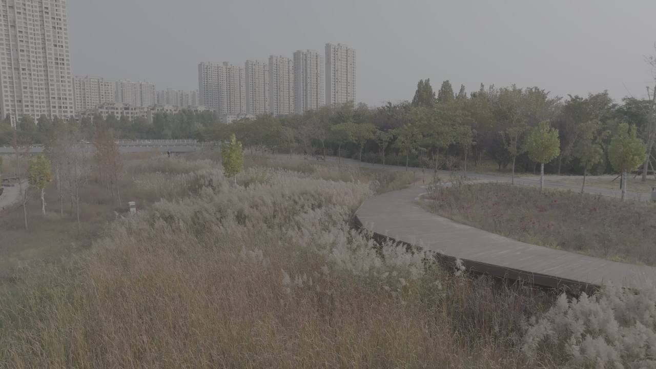 城市与自然的交融