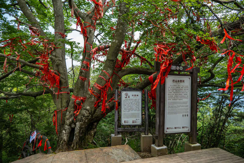 大山美景 10