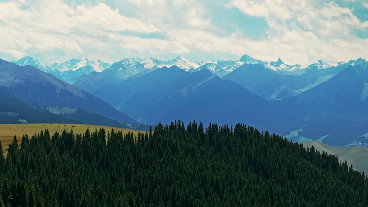 新疆伊犁喀拉峻大草原天山山脉雪山风光航拍