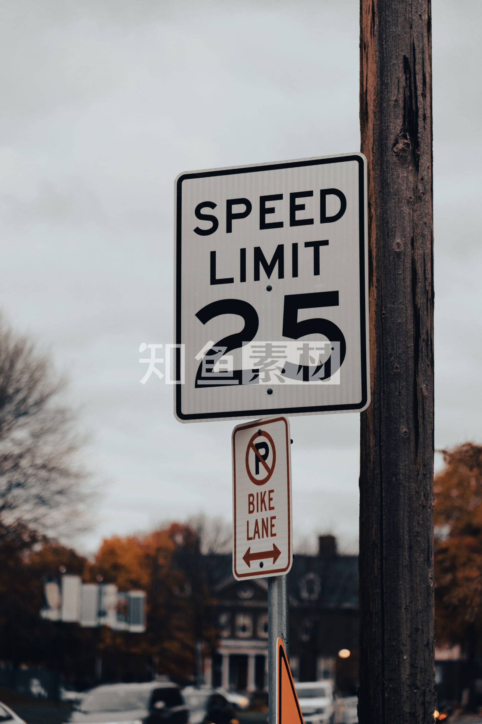 美国39_海量可商用图片素材下载| 知鱼素材· 专业级正版视频图片创意素材下载