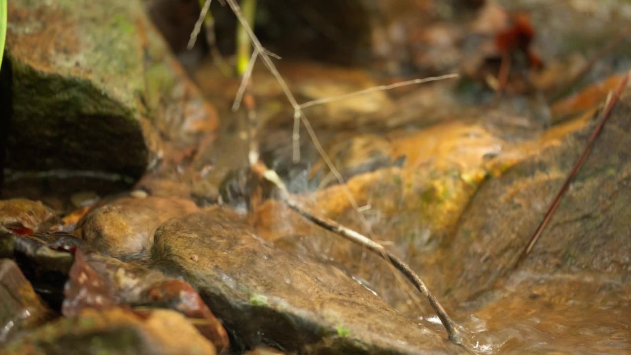 山泉水矿泉水潺潺小溪流水瀑布 5