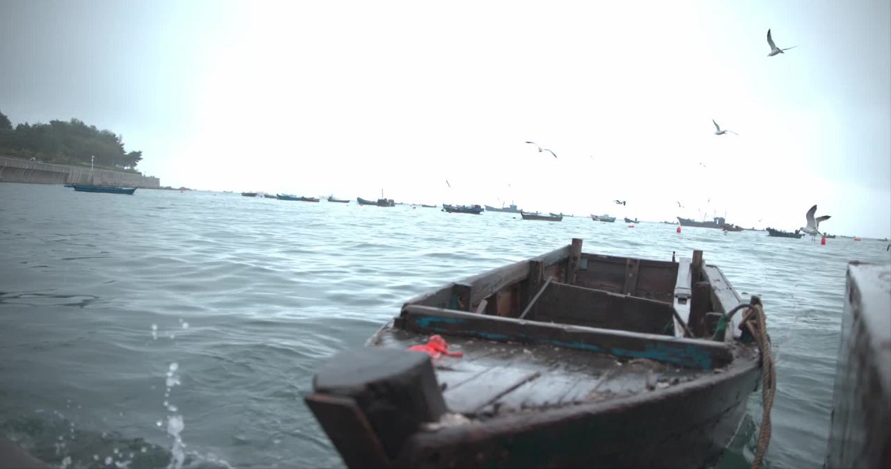 【实拍样片】松下S1M2-6K相机实拍原片视频 23