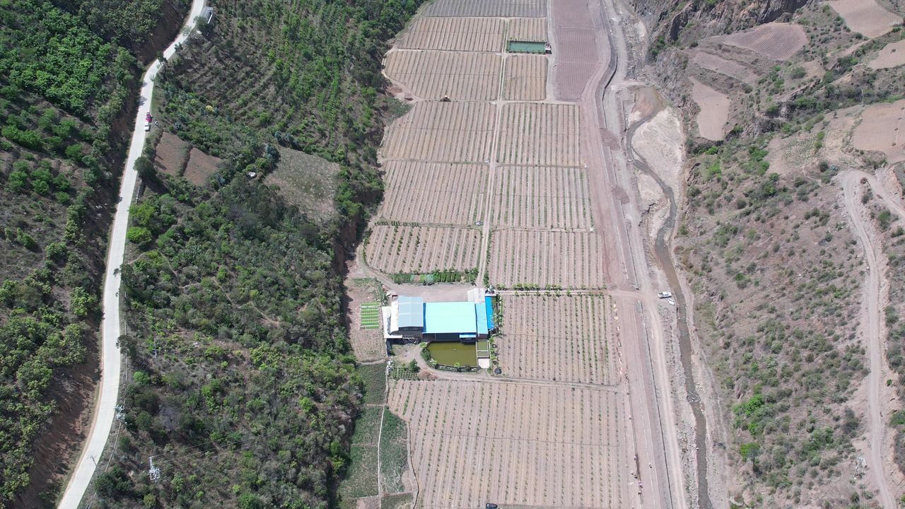 河谷地带柑橘种植基地3