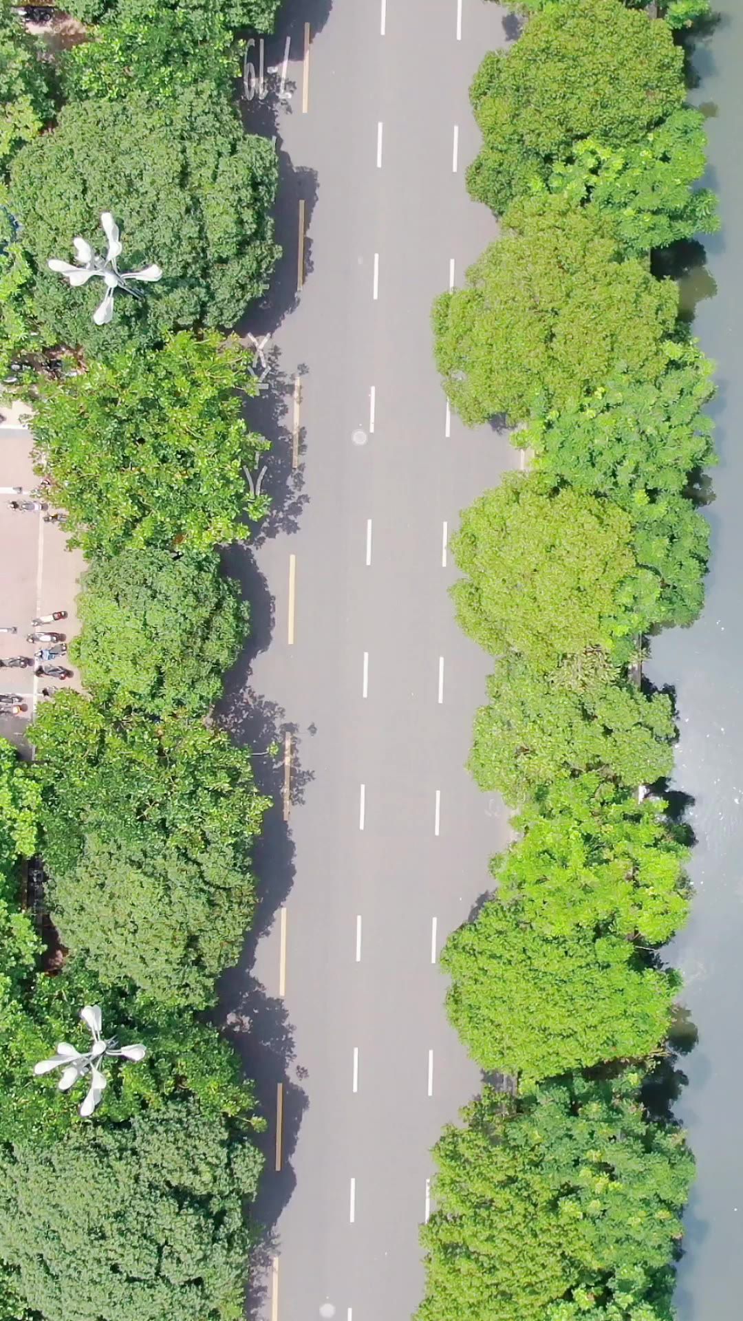 俯拍福建泉州城市交通