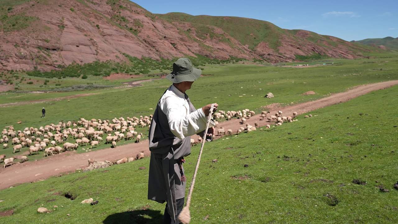 广阔草原上放牧牛羊的人群