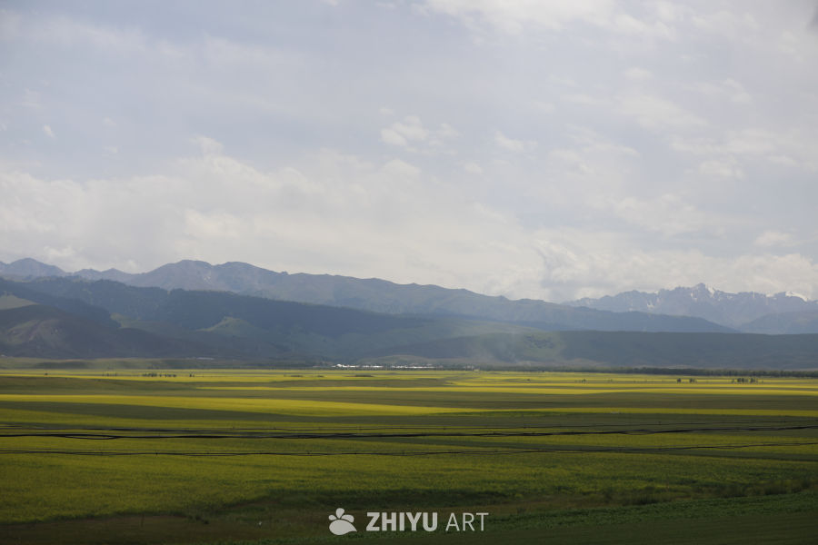 田野与山峦