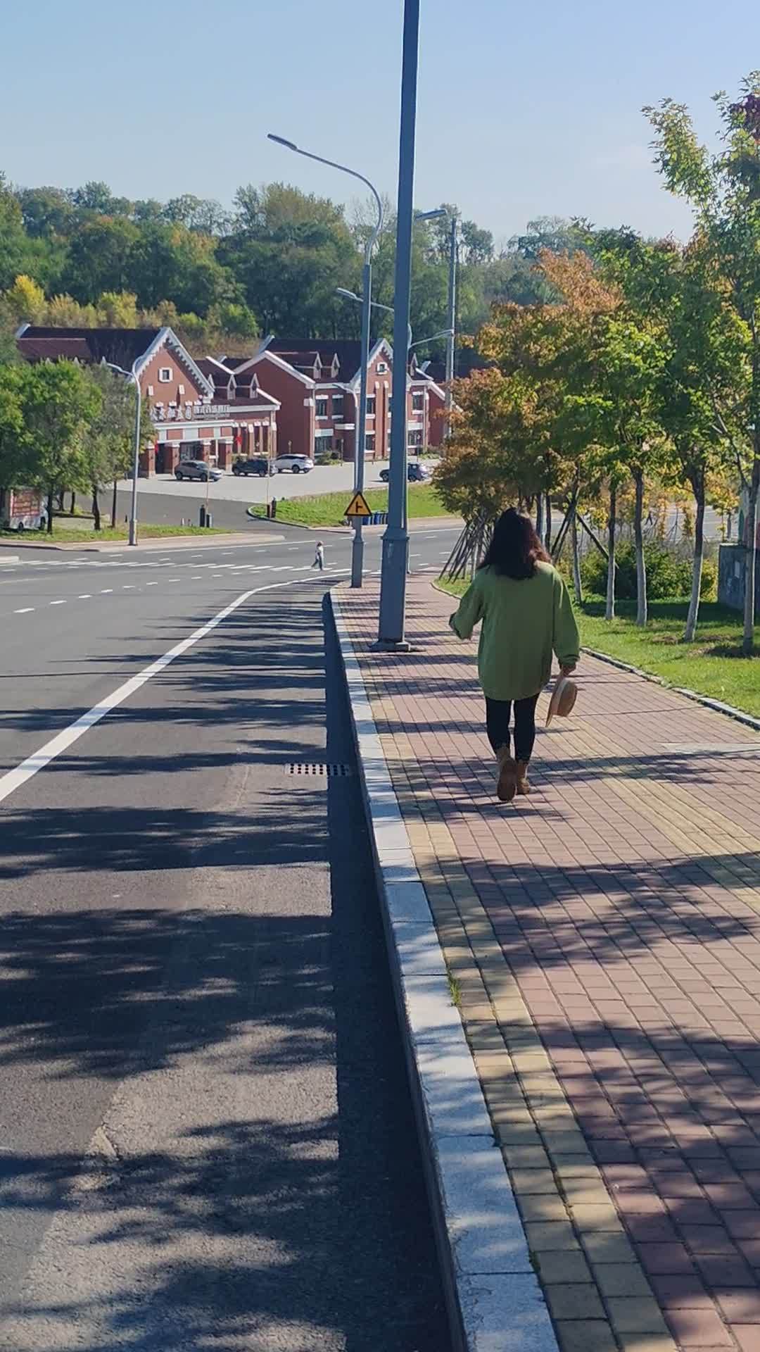 街拍散步视频素材 1