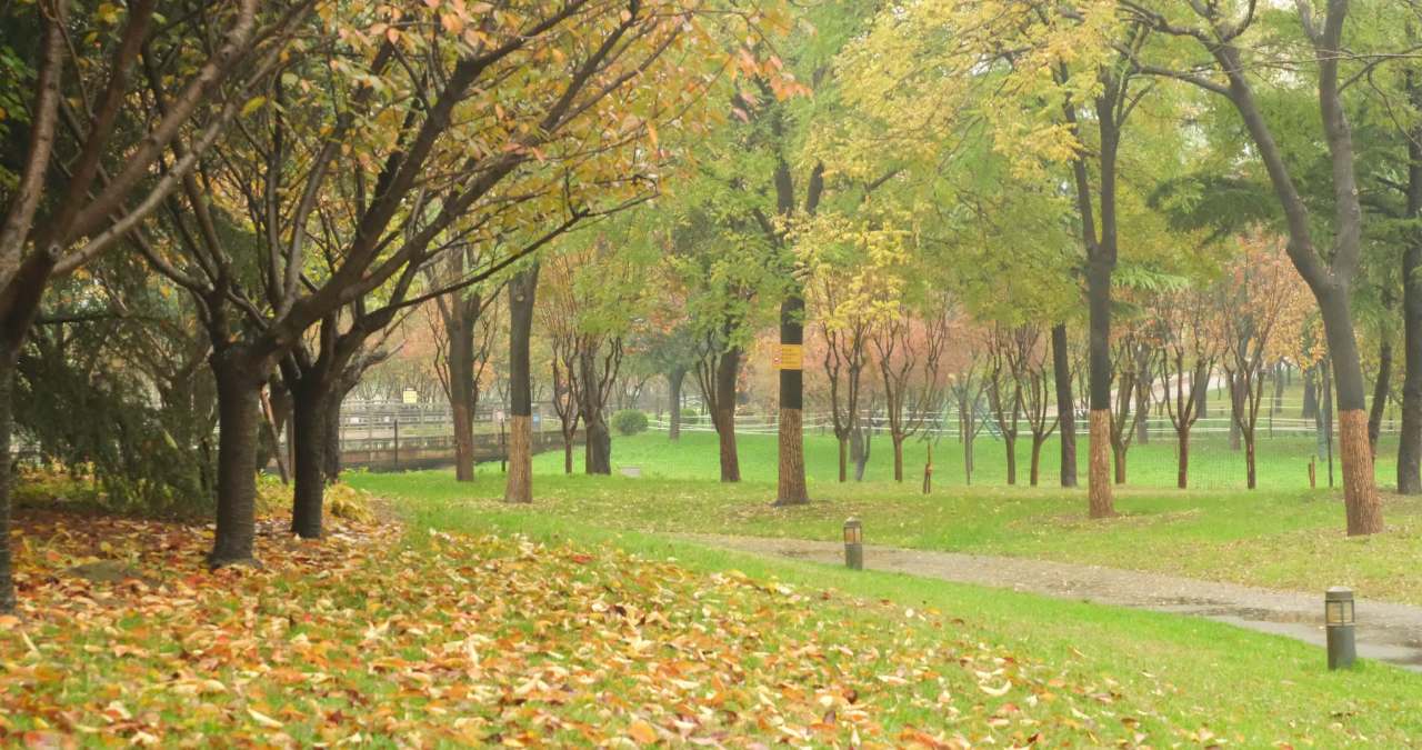 【实拍样片】富士X-S20相机实拍原片视频 1