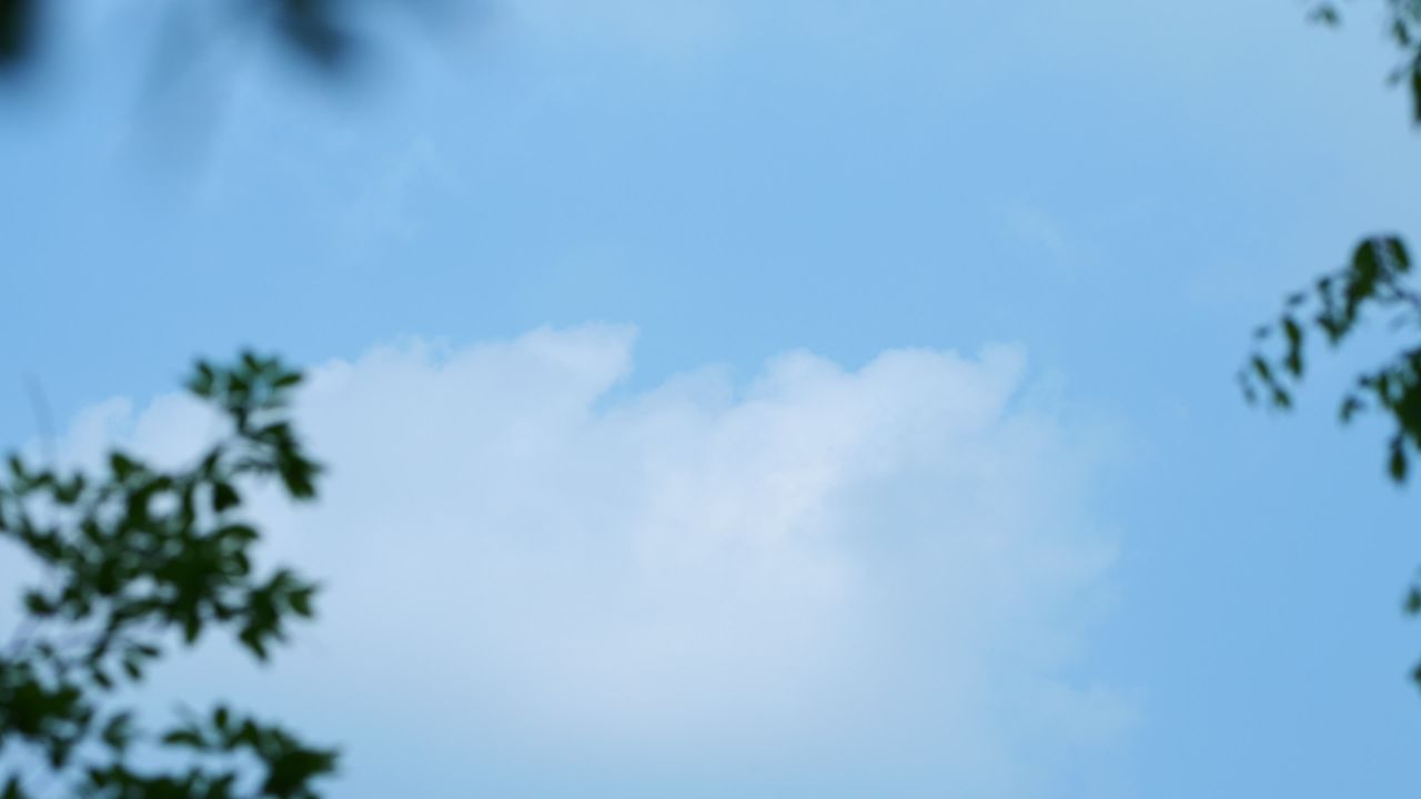 夏天的云