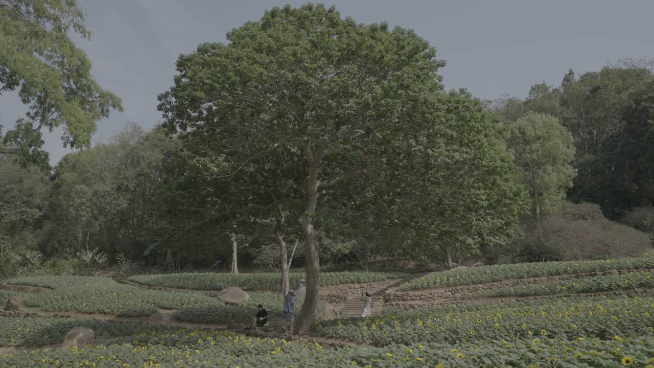 青秀山 13