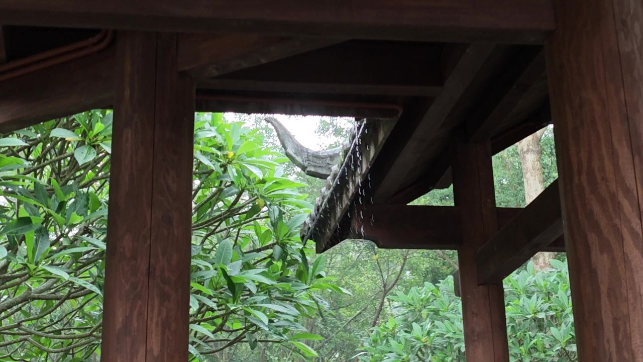 檐下听雨