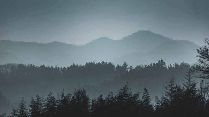 山