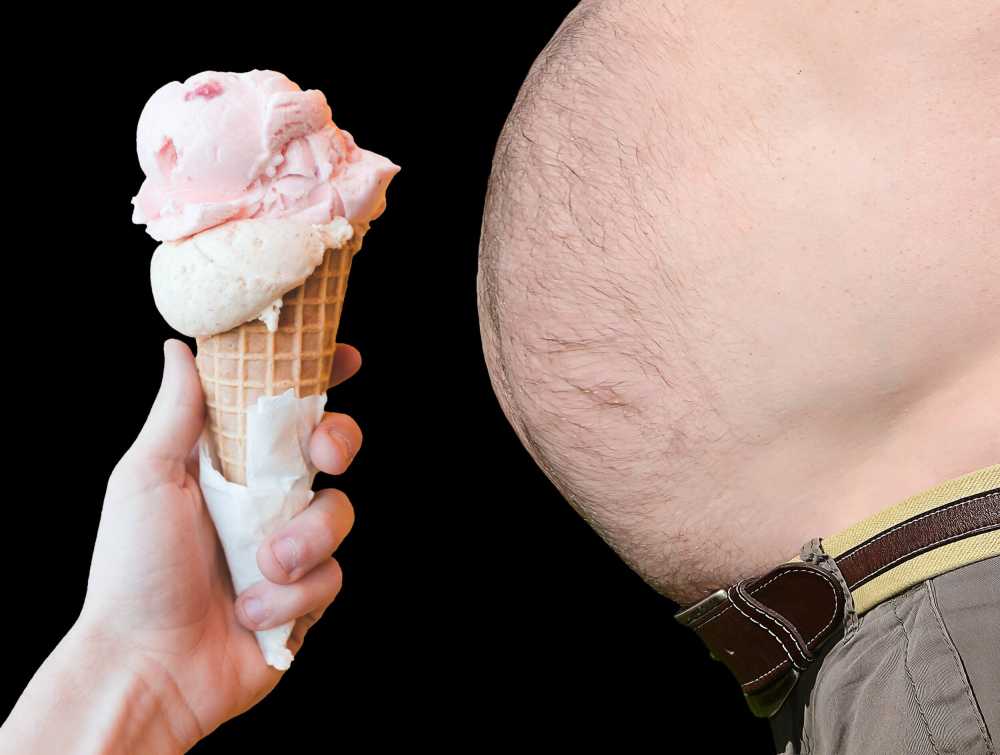 肥胖脂肪饮食超重