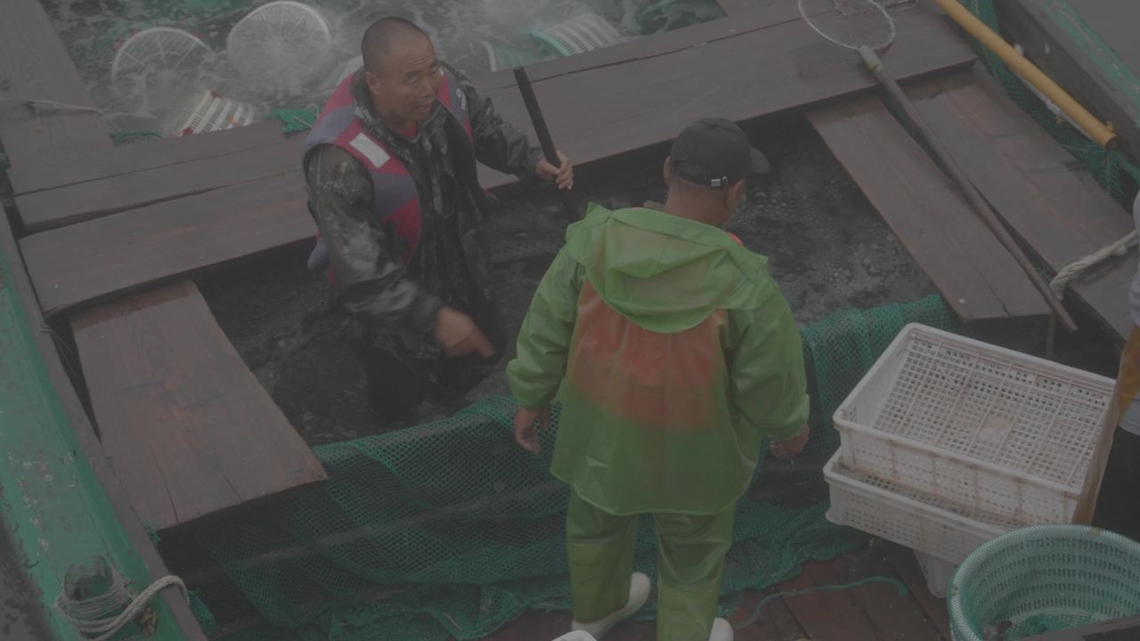 渔民海上捡拣鱼类工作场景