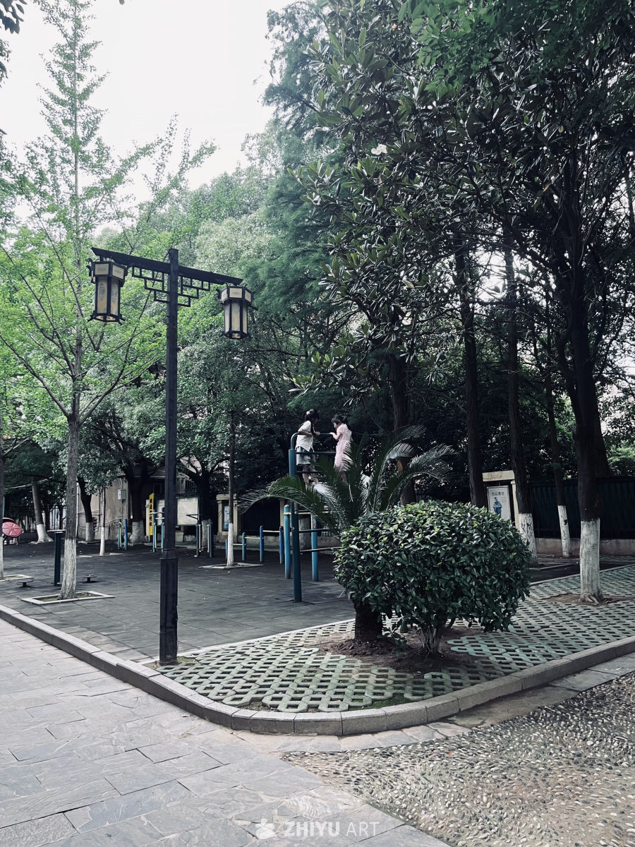 公园里的悠闲时光