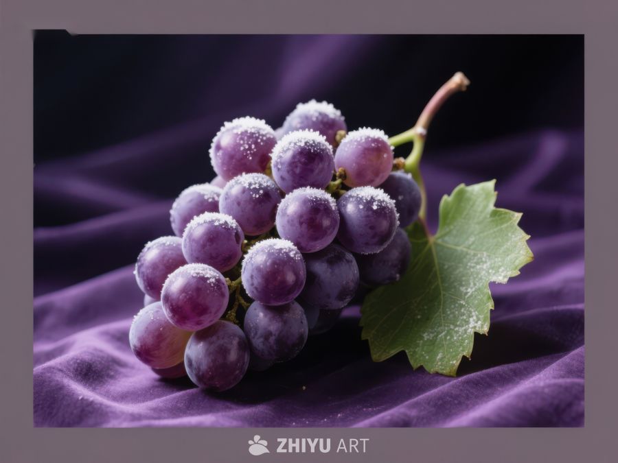 紫葡萄簇与绿叶的静物特写 816