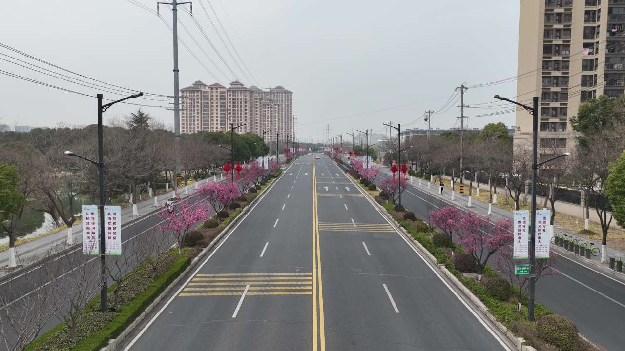 苏州春天的路