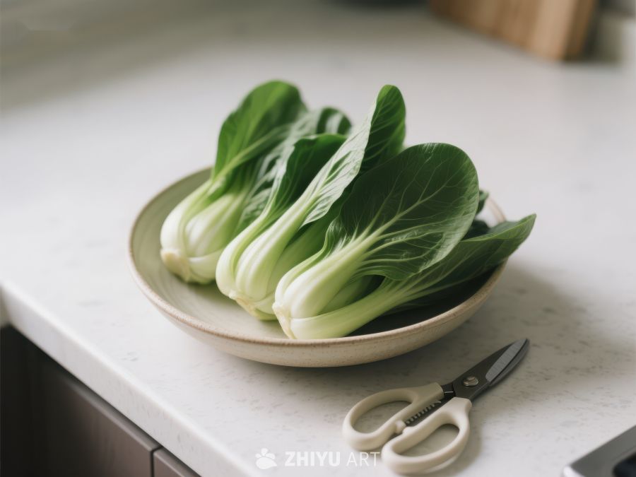 新鲜青菜置于白色碗中 497