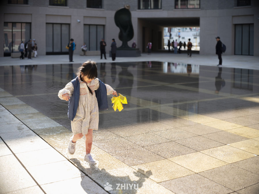 秋日暖阳下的童趣