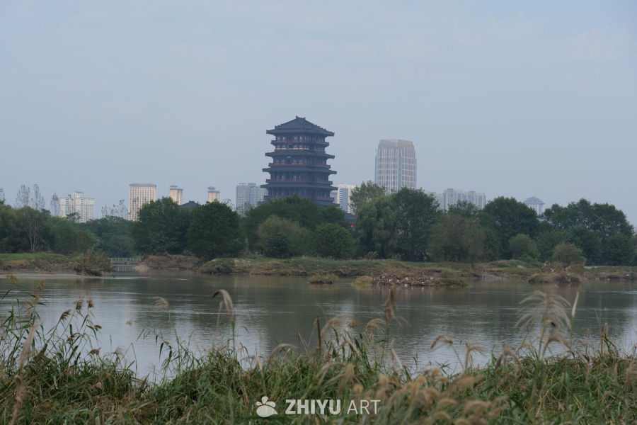 桥水一色 9