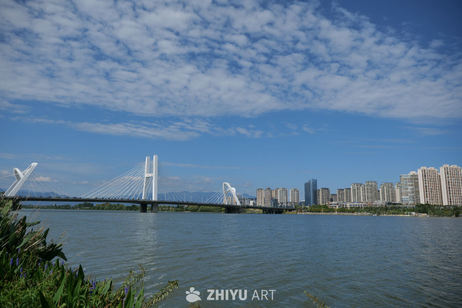 芦苇荡 23