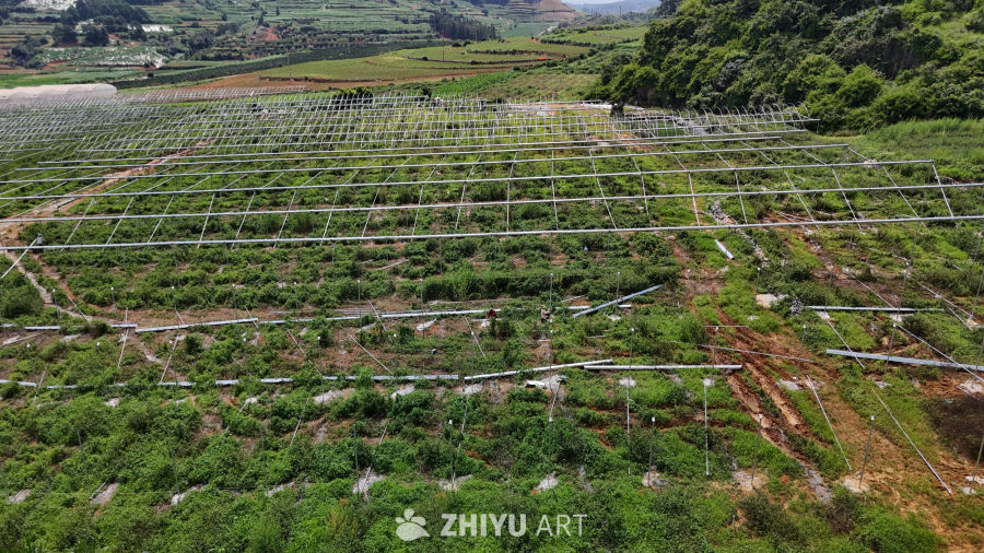 现代农业大棚俯瞰图