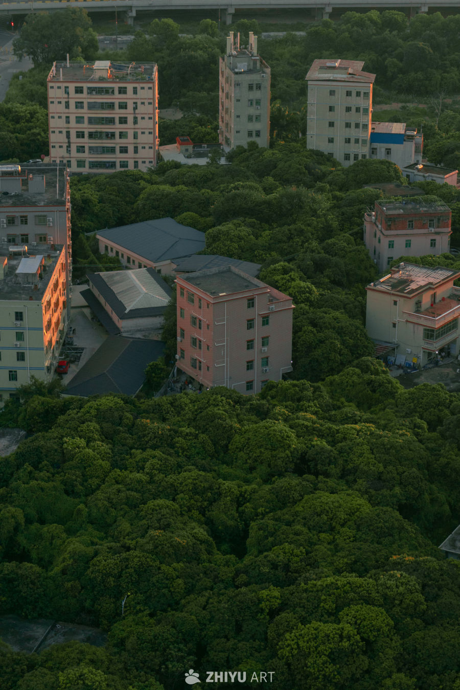 城市绿洲：建筑与自然的和谐共生