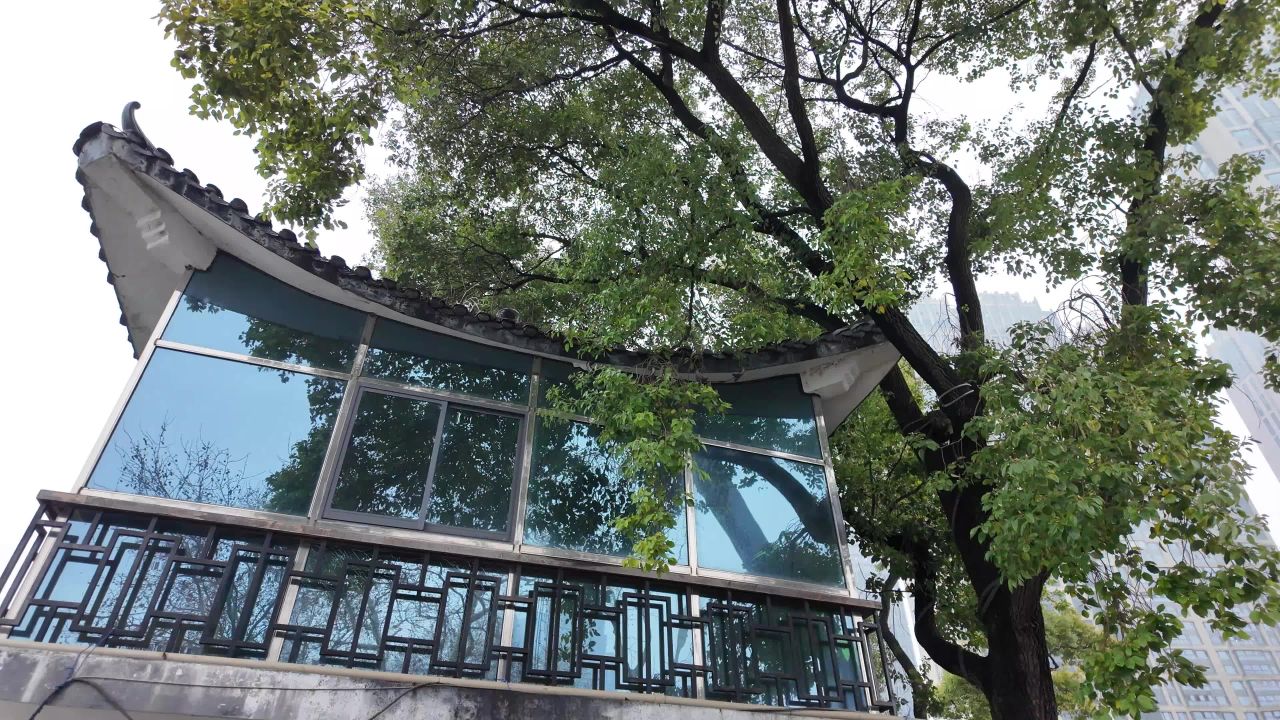 长沙 29